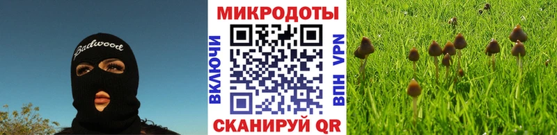 Псилоцибиновые грибы ЛСД  Славянск-на-Кубани 